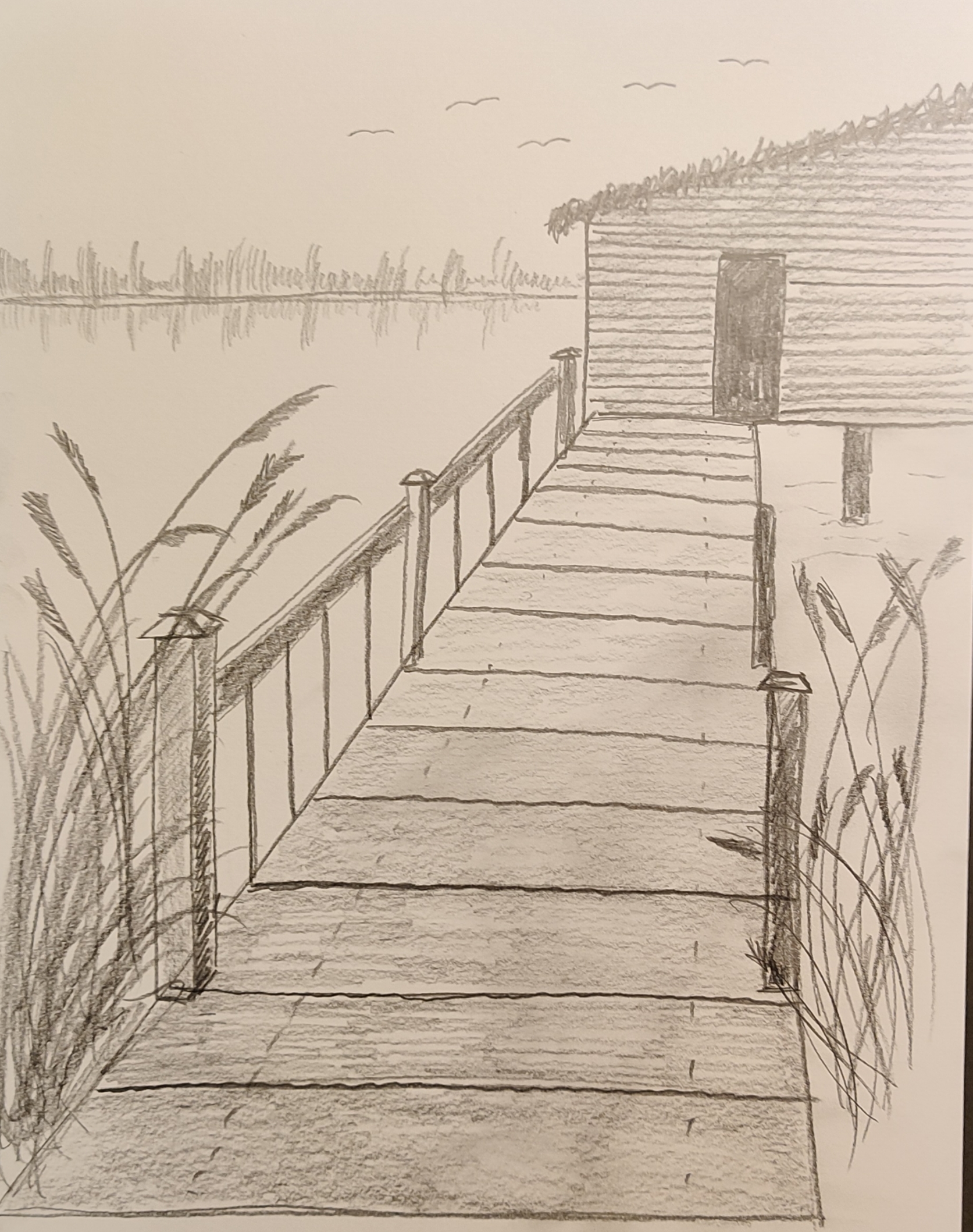 Shed at Lake